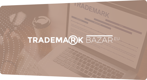 Portfolio Business Bazar EU